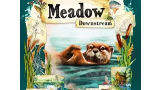 メドウ：ダウンストリーム（拡張）